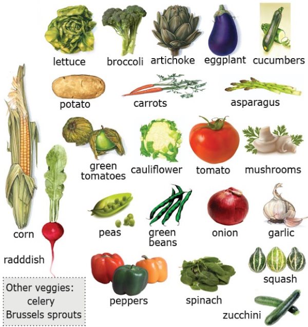 warzywa po angielsku